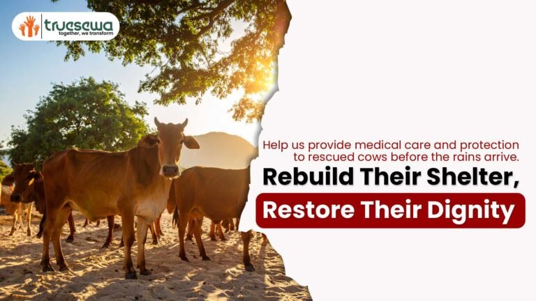 Help Rebuild the Gaushala & Heal Injured, Abandoned …