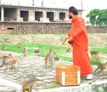 Truesewa- Monkey Feeding (1)