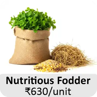 Nutritious Fodder