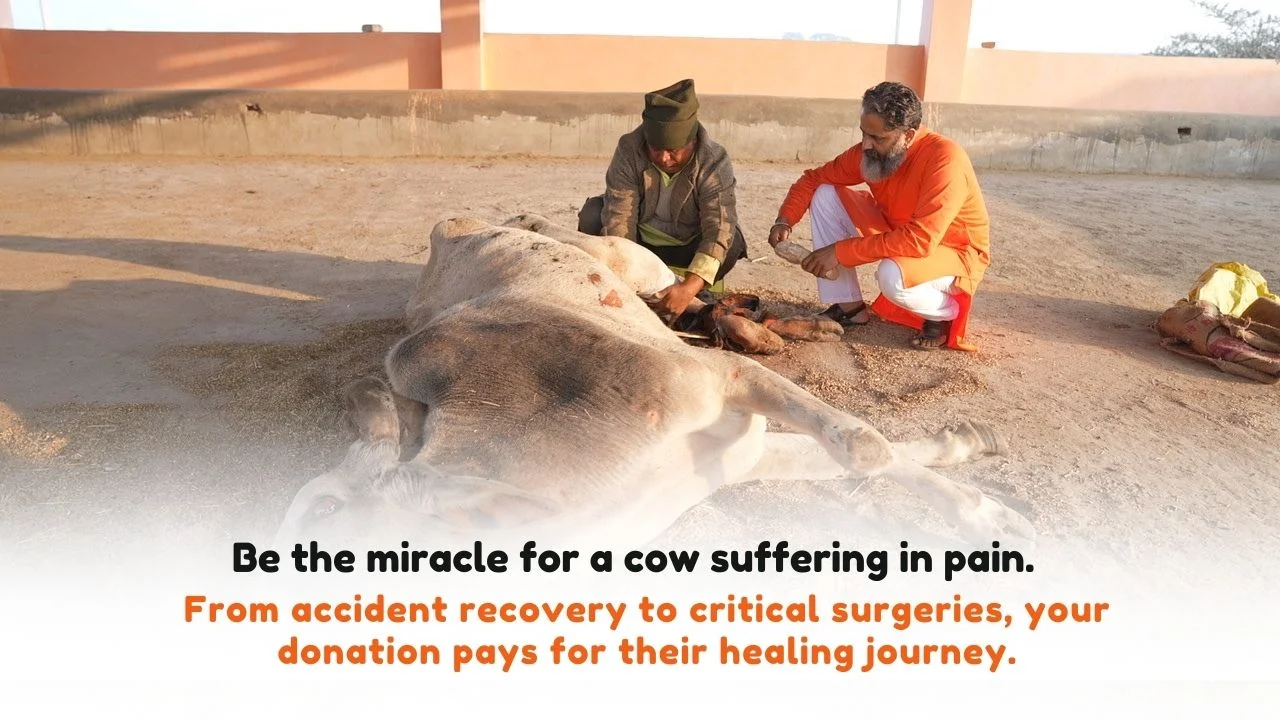 Truesewa Gaushala-121