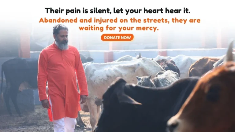 Save Injured & Abandoned Cows with Shiv Ananta Found…