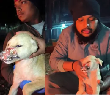 TSF- Shivam Rescue 1578 (2)