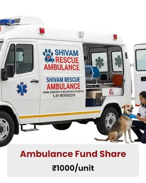 Ambulance Fund Share